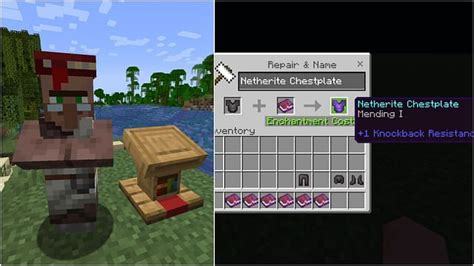 which villager trades mending books